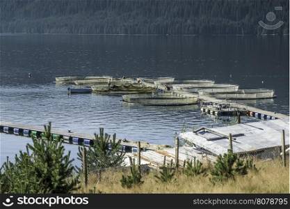 Cages for fish farming in lake