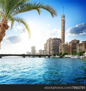 Cairo TV tower on the bank of Nile