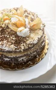 cake with walnuts and physalis. Chocolate cake with walnuts and physalis