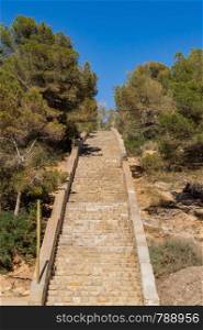 Cala Falco O steps from S'Alga seen from the bottom without any Majorcan people, Spain. Cala Vines steps, no people, trees and, Cala Falco O de s'Alga, mallorca