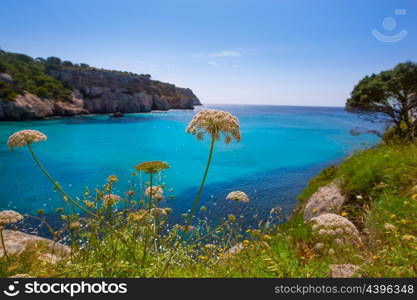 Cala Macarella Ciudadela Menorca turquoise Mediterranean sea in Balearic islands