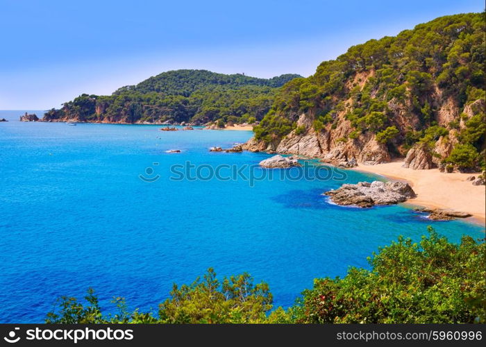 Cala Sa Boadella platja beach in Lloret de Mar of Costa Brava at Catalonia Spain