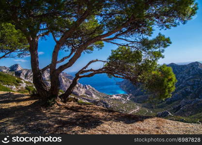 calanque de sormiou,marseille,bouche du rhone,france