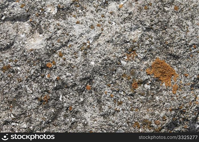 Calcareous stone partially covered with various kinds of lichens