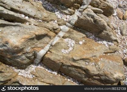 Calcite vein in rock at Rocky Point, Tangalle, Southern Province, Sri Lanka, Asia.