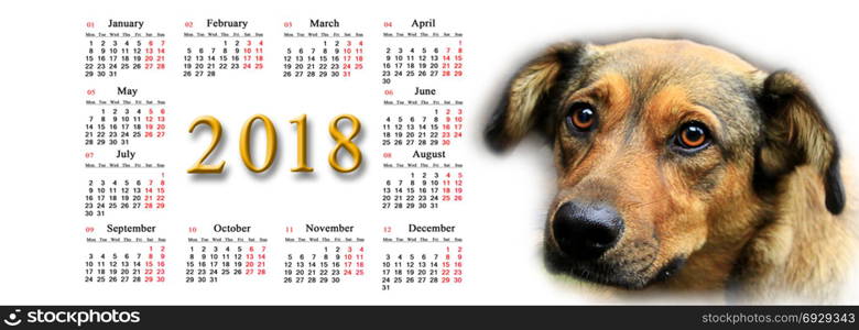 calendar for 2018 with nice dog. calendar for 2018 with the image of a beautiful kind dog. Dog as a symbol of 2008 year