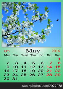 calendar for May 2016 with blooming cherry tree. calendar for May 2016 with white blooming cherry tree