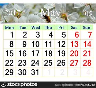 calendar for May 2017 with blooming cherry tree. calendar for May 2017 with white blooming cherry tree