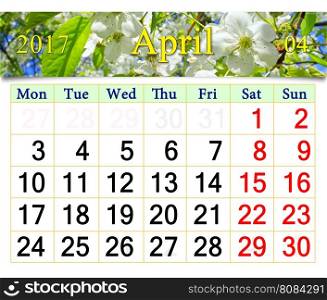 calendar for May 2017 with blooming cherry tree. calendar for May 2017 with ribbon of blooming cherry tree flowers