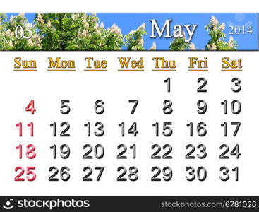 calendar for May of 2014 on the background of crowns of chestnut