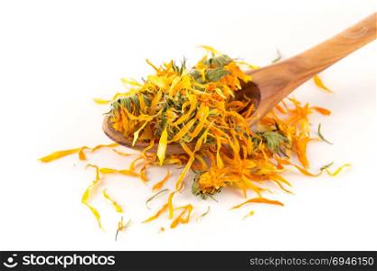 Calendula flowewr tea for infusion in wooden spoon on white background