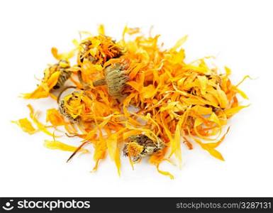 Calendula or pot marigold medicinal herbs on white background