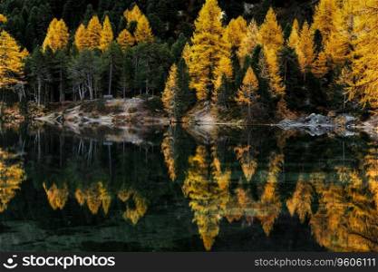 Calm autumn morning with reflections on Palpuogna Lake in the Swiss Alps