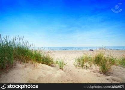 Calm beach with dunes and green grass. Ocean in the background, blue sunny sky.