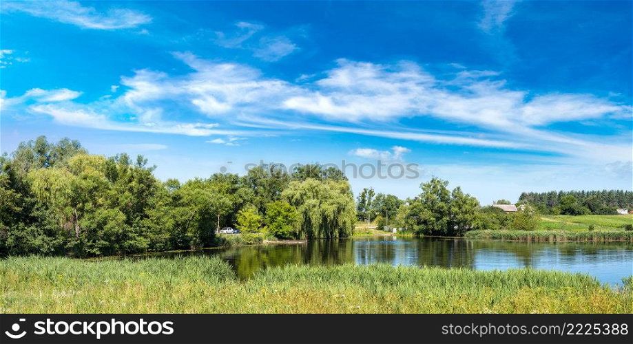 Calm pond and water plants in a beautiful summer day