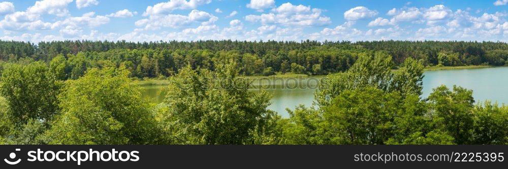 Calm pond and water plants in a beautiful summer day