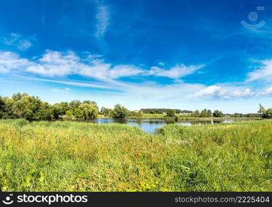 Calm pond and water plants in a beautiful summer day