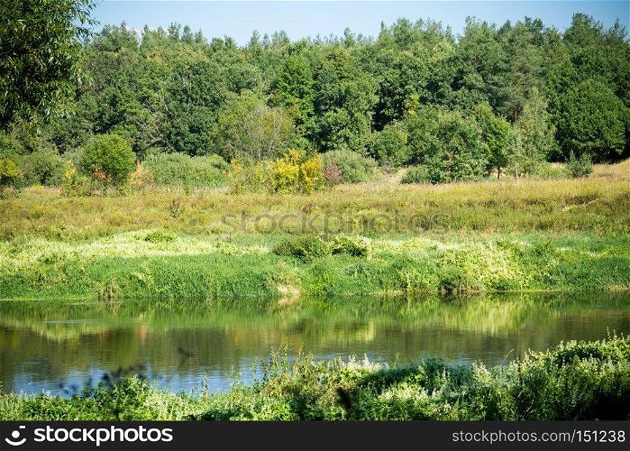 Calm river and green forest, nice peaceful landscape.