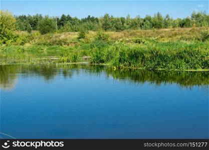 Calm river and green forest, nice peaceful landscape.