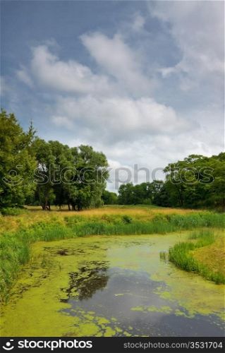 calm river in forest, summer daytime