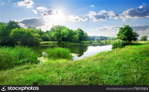 Calm river in the forest in sunny day
