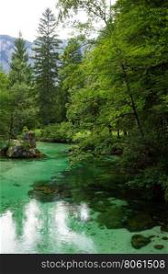 Calm river in Triglav national park, Slovenia