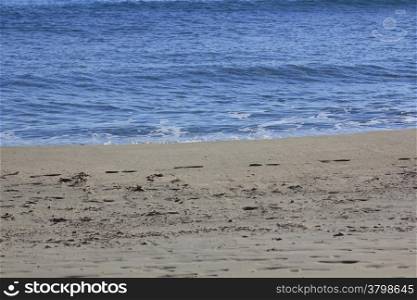 calm sea lapping against white sandy beach