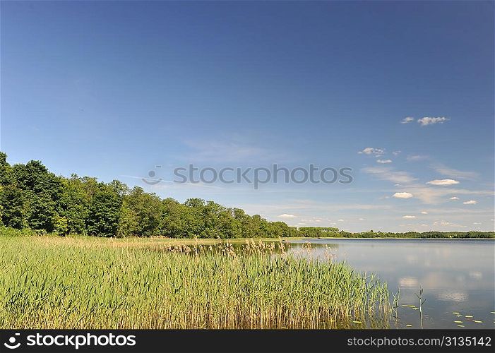 calm water of lake, woods on other side and blue sky. landscape