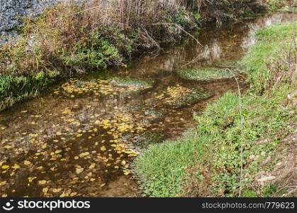 Calm waters of small creek passing through an autumn forest meadow