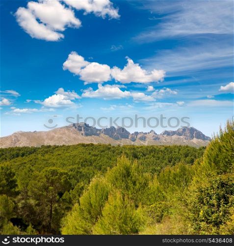 Calpe Alicante sierra de Bernia y Ferrer mountains and Mediterranean pine forest Spain