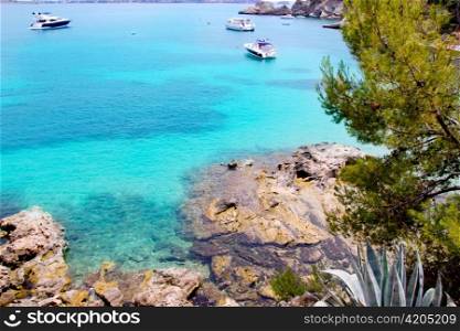 Calvia Cala Fornells turquoise mediterranean in Majorca at balearic islands of Spain