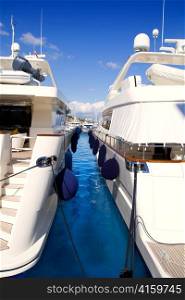 Calvia Puerto Portals Nous luxury yachts in Mallorca Balearic island from Spain