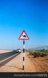Camel crossing street sign in Abu Dhabi desert.