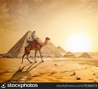 Camel in sandy desert near pyramids at sunset. Camel in sandy desert