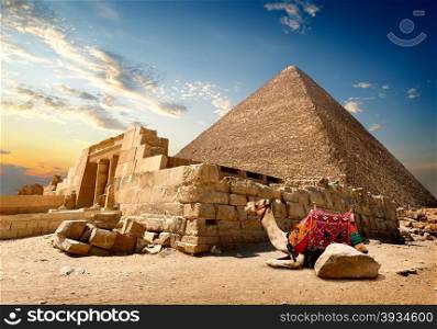 Camel rests near ruins of entrance to pyramid