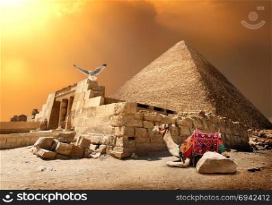 Camel rests near ruins of entrance to pyramid