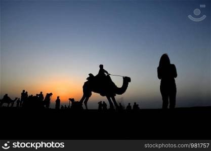 Camel Rides in silhouette, SAM dunes at Jaisalmer, Rajasthan, India. Camel Rides in silhouette, SAM dunes, Jaisalmer, Rajasthan, India