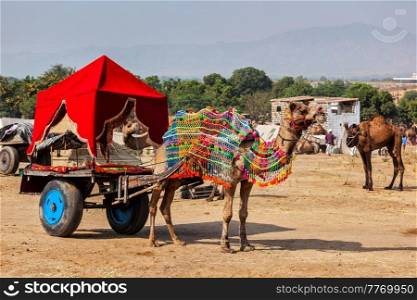 Camel taxi. Decorated camel in a cart. Pushkar Mela  Pushkar Camel Fair . Pushkar, Rajasthan, India. Camel taxi. Pushkar Mela Pushkar Camel Fair . Pushkar, Rajasthan, India
