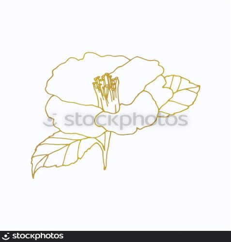 Camellia flower hand drawn illustration. Line-art flower drawing. Blooming detailed flower. Elements for design. Floral background.