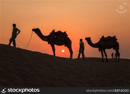 Camels and Sunset at Thar Desert in Jaisalmer, Rajasthan, India