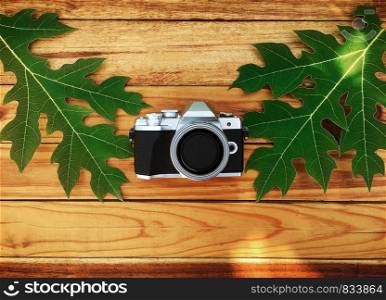Camera and Green leaf on wood table background