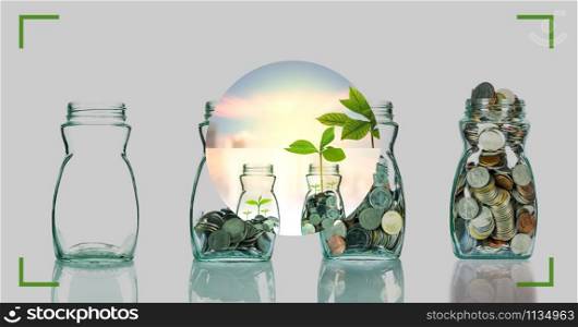 camera viewfinder with focusing the screen of Mix coins and seed in clear bottle on cityscape photo blurred cityscape background, Photographer with business invest concept
