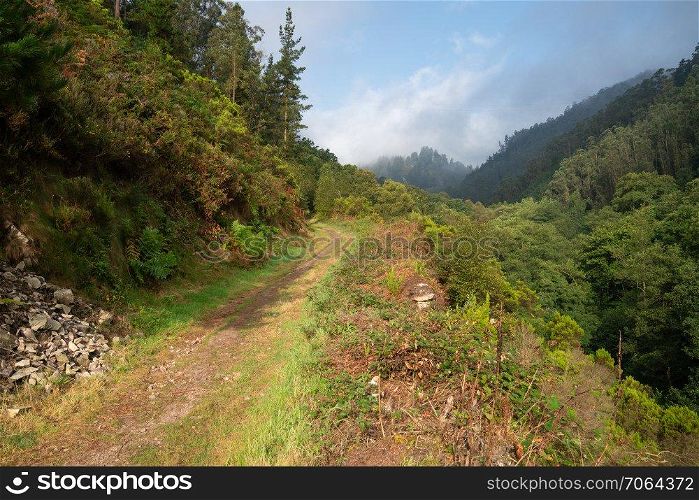Camino de Santiago trail between Salas and Tineo, Asturias, Spain