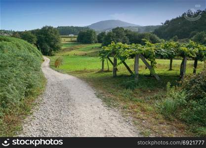 Camino de Santiago trail through the landscape close to Caldas de Reis, Galicia, Spain