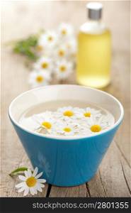 camomile flowers and essential oil