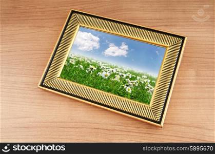 Camomiles field on picture frame
