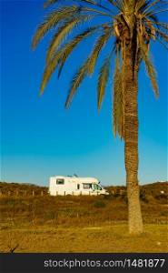 Camper, recreational vehicle on mediterranean coast with palm tree in Spain. Camping on Percheles Beach. Holidays and travel in caravan.. Camper on beach, camping on sea coast