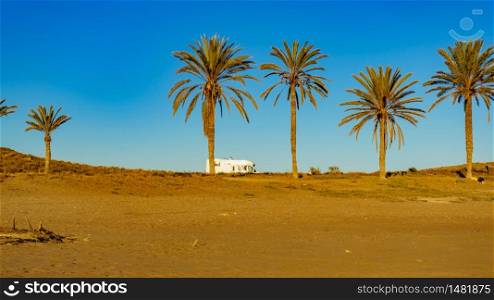 Camper, recreational vehicle on mediterranean coast with palm trees in Spain. Camping on Percheles Beach. Holidays and travel in caravan.. Camper on beach, camping on sea coast