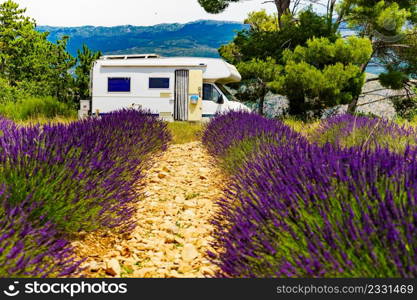 Camper vehicle camping on summer nature at lavender blooming purple field in France. Holidays, vacation with motorhome.. Caravan camping at lavender field, France