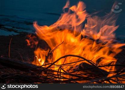 Campfire at twilight on beach.